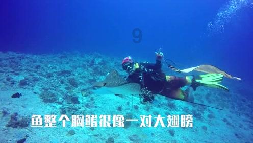 实况俱乐部